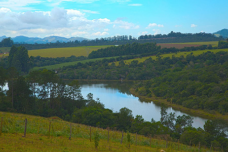 Centro Terapêutico Reviver